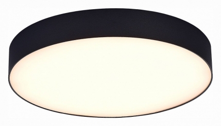 Потолочный светодиодный светильник ST Luce ST606.432.48