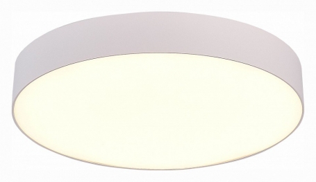 Потолочный светодиодный светильник ST Luce ST606.532.48