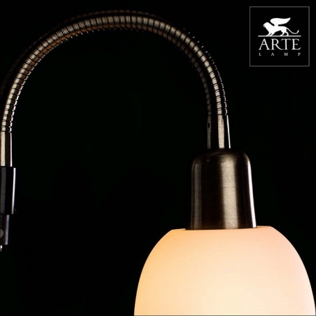 Торшер Arte Lamp Duetto A9569PN-2AB