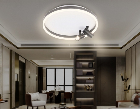Потолочный светильник Comfort FL5113