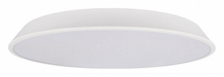 Потолочный светильник Brim 10226 White