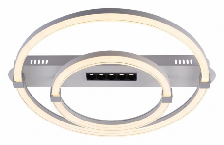 Потолочный светодиодный светильник Escada Aspect 10253/2LED