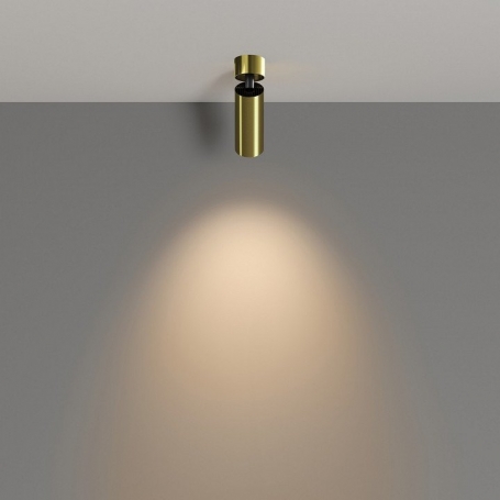 Спот Focus Led C055CL-L12W3K-W-BS
