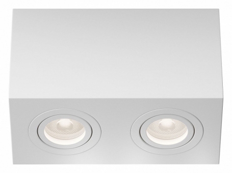 Потолочный светильник Maytoni Technical Atom C017CL-02W