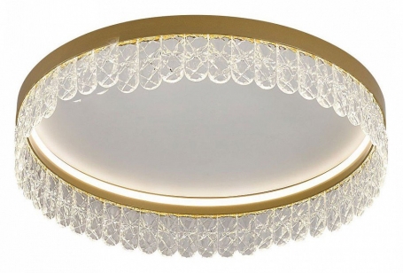 Потолочный светодиодный светильник F-Promo Lunetta 4186-1C