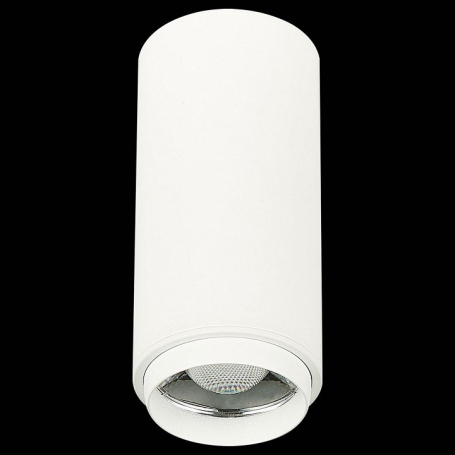 Накладной светильник ST Luce Zoom ST600.542.10