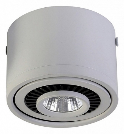 Потолочный светильник Favourite Reflector 1775-1C