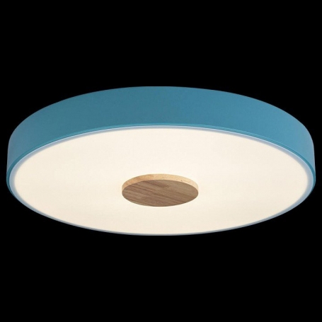 Потолочный светильник Loft IT Axel 10003/24 Blue