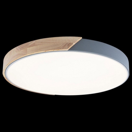 Потолочный светильник Loft IT Axel 10004/36 Grey