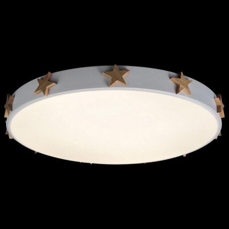 Потолочный светильник Loft IT Axel 10006/36 White