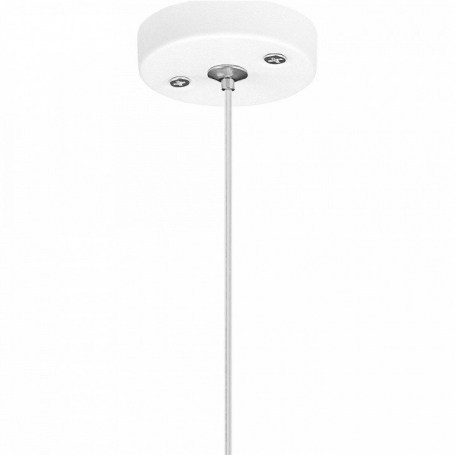 Подвесной светильник Lightstar Rullo RP486437