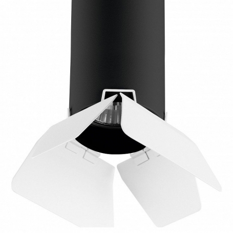 Потолочный светильник Lightstar Rullo (214487+202436) R487436