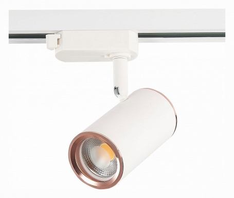 Светильник на штанге ST Luce Cromi ST301.526.01