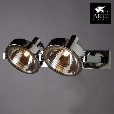 Потолочный светильник Arte Lamp Faccia A4507PL-2CC