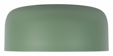 Потолочный светильник Loft IT Axel 10201/350 Green