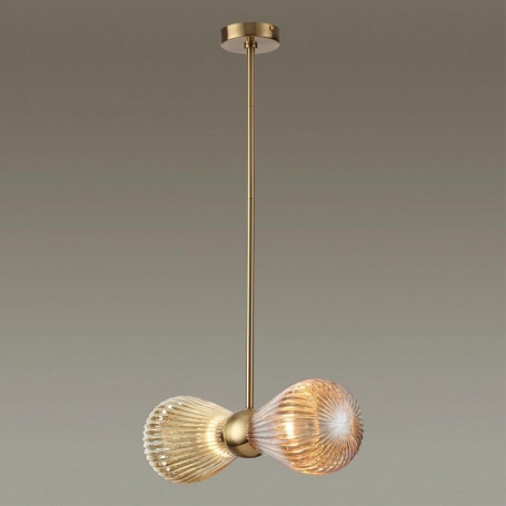 Потолочная люстра Odeon Light Elica 5402/2