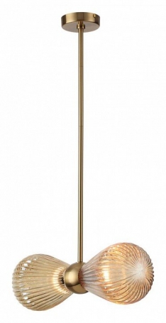 Потолочная люстра Odeon Light Elica 5402/2