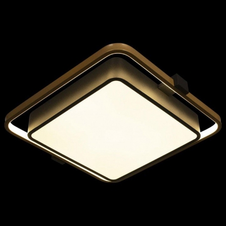 Потолочный светильник Loft IT Mike 10171