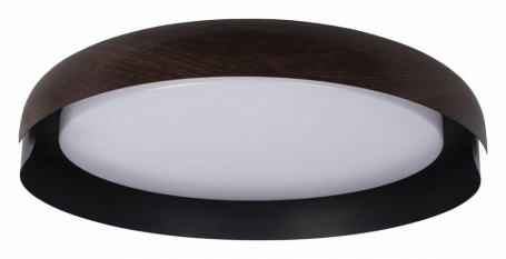 Потолочный светильник Loft IT Coin 10198 Black