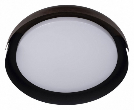 Потолочный светильник Loft IT Coin 10198 Black