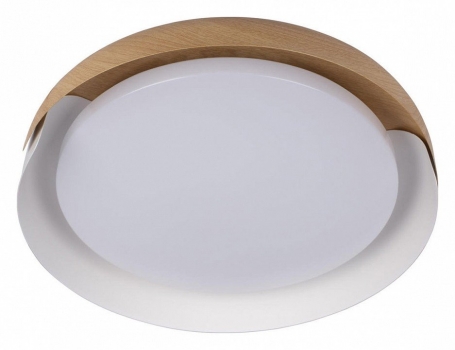 Потолочный светильник Loft IT Coin 10198 White