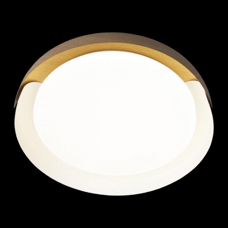 Потолочный светильник Loft IT Coin 10198 White