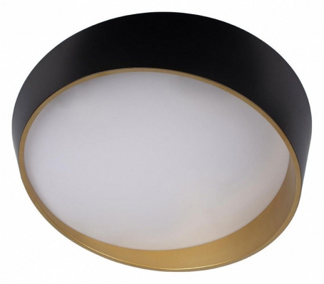Потолочный светильник Loft IT Coin 10199 Black
