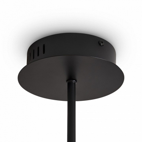 Подвесной светильник Brilliance FR5557PL-L32B