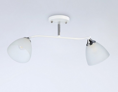 Потолочная люстра TRADITIONAL TR303001