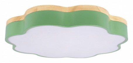 Потолочный светильник Axel 10225/36 Green