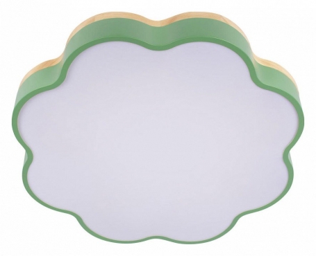 Потолочный светильник Axel 10225/36 Green