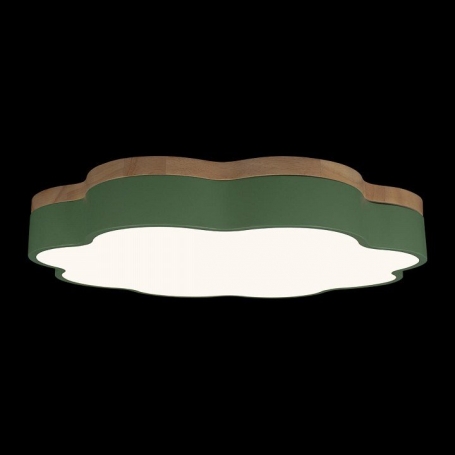 Потолочный светильник Axel 10225/36 Green