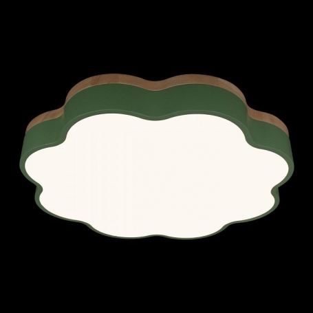 Потолочный светильник Axel 10225/36 Green