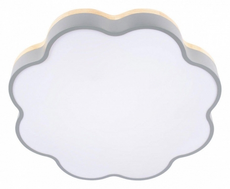 Потолочный светильник Axel 10225/36 Grey