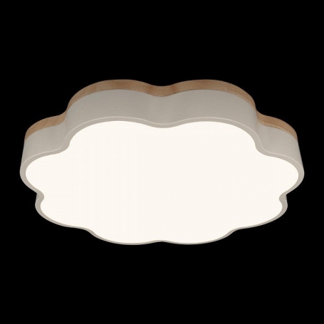 Потолочный светильник Axel 10225/36 White