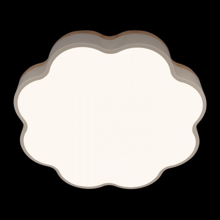 Потолочный светильник Axel 10225/36 White