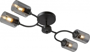 Потолочная люстра Vitaluce V2823-1/4PL