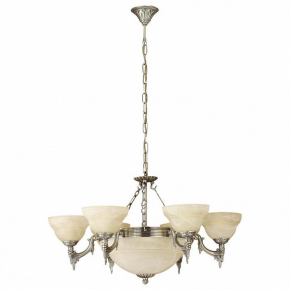 Потолочный светильник Odeon Light Salona 2641/5C