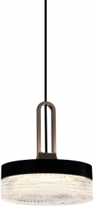 Подвесной светильник DeLight Collection P0855 P0855-1A black