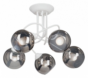 Потолочная люстра Vitaluce V4309-0/5PL