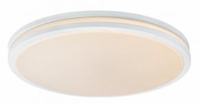 Потолочный светодиодный светильник Globo Lova 41607-36