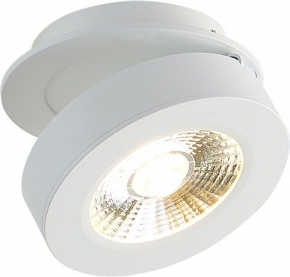 Точечный светильник Sun DL18961R12W1W