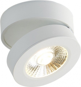 Точечный светильник Sun DL18962R12W1W