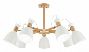 Потолочная люстра Evoluce Balcamo SLE103802-07