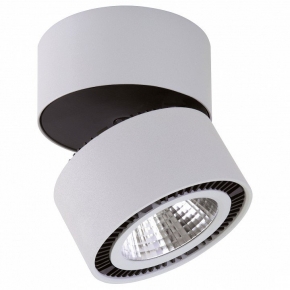 Точечный накладной светильник Lightstar Forte Muro 214830
