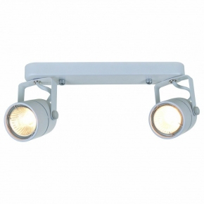 Настенно-потолочный светильник Arte Lamp Lente A1310PL-2WH