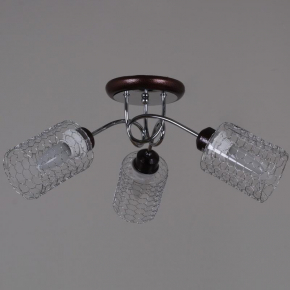 Подвесная люстра Odeon Light Waterlily 4873/5