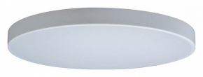Потолочный светильник Axel 10002/48 White