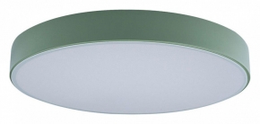 Потолочный светильник Loft IT Axel 10002/24 Green