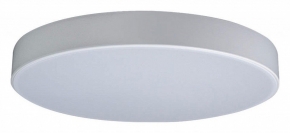 Потолочный светильник Loft IT Axel 10002/24 White